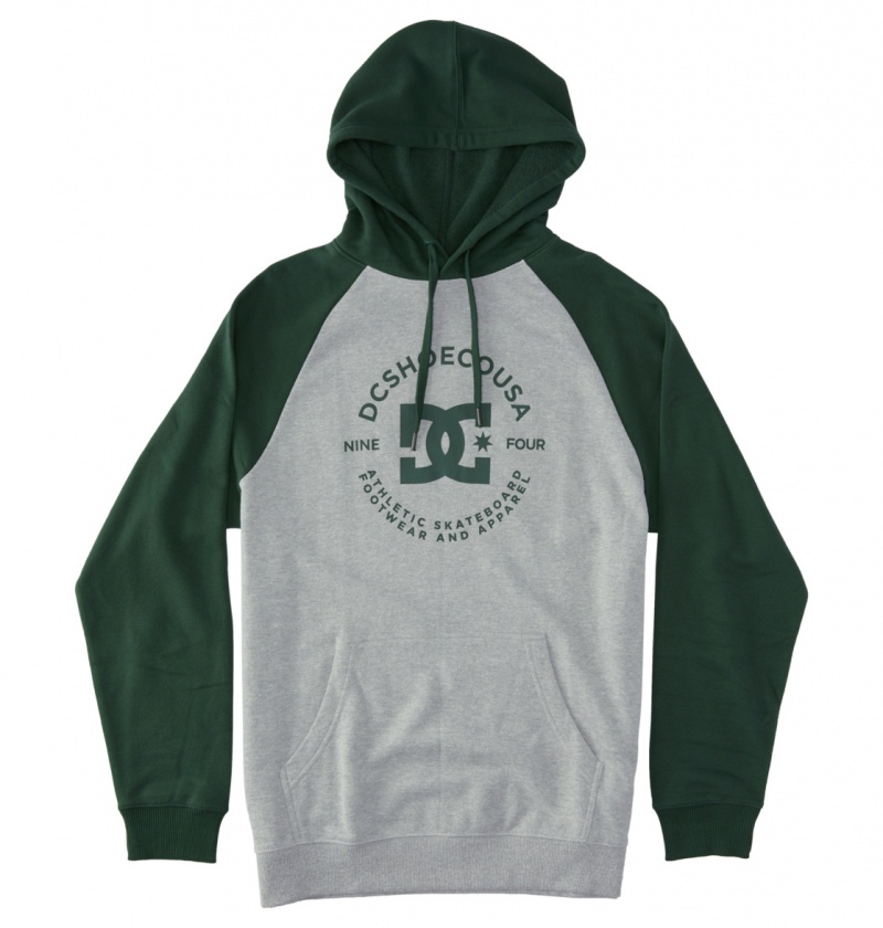 Heather Grey / Sycamore DC Shoes DC Star Pilot - Hoodie | HMFPBJ-128