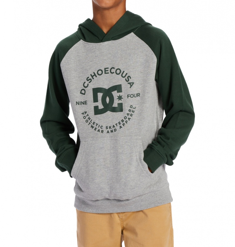 Heather Grey / Sycamore DC Shoes DC Star Pilot - Hoodie 8-16 | GFSHML-062