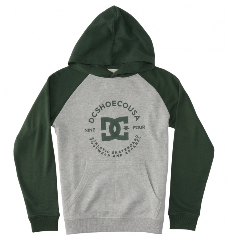 Heather Grey / Sycamore DC Shoes DC Star Pilot - Hoodie 8-16 | GFSHML-062