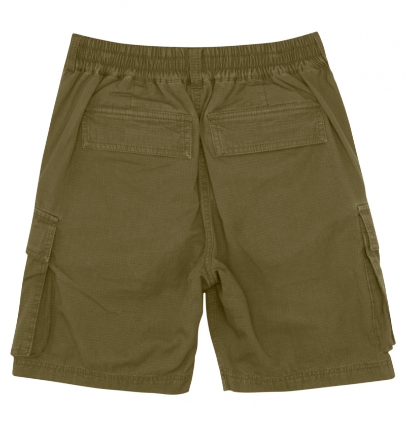 Ivy Green DC Shoes Tundra - Cargo Shorts 8-16 | XRFNDC-406