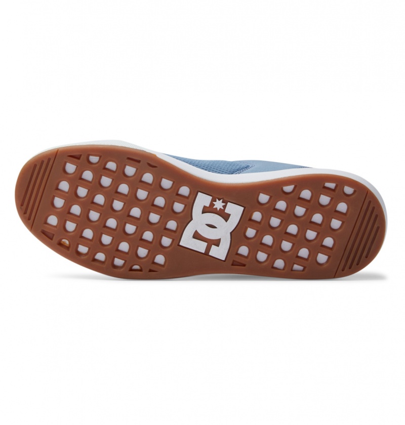 Light Blue DC Shoes Transit - Shoes | APYQBD-861