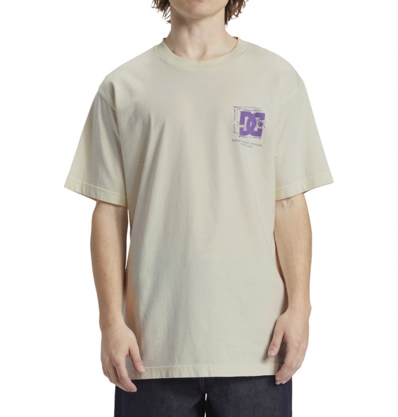 Lily White Enzyme Wash DC Shoes Mid Century - T-Shirt | YECVBT-348