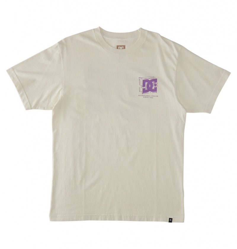 Lily White Enzyme Wash DC Shoes Mid Century - T-Shirt | YECVBT-348