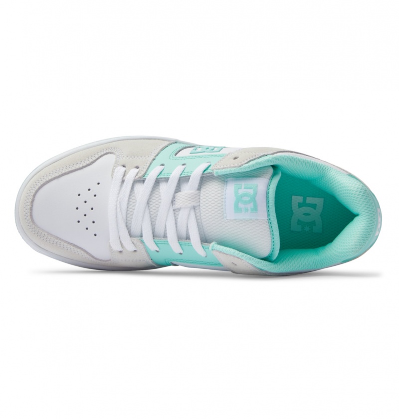 Mint DC Shoes Manteca - Leather Shoes | JWRZOK-254