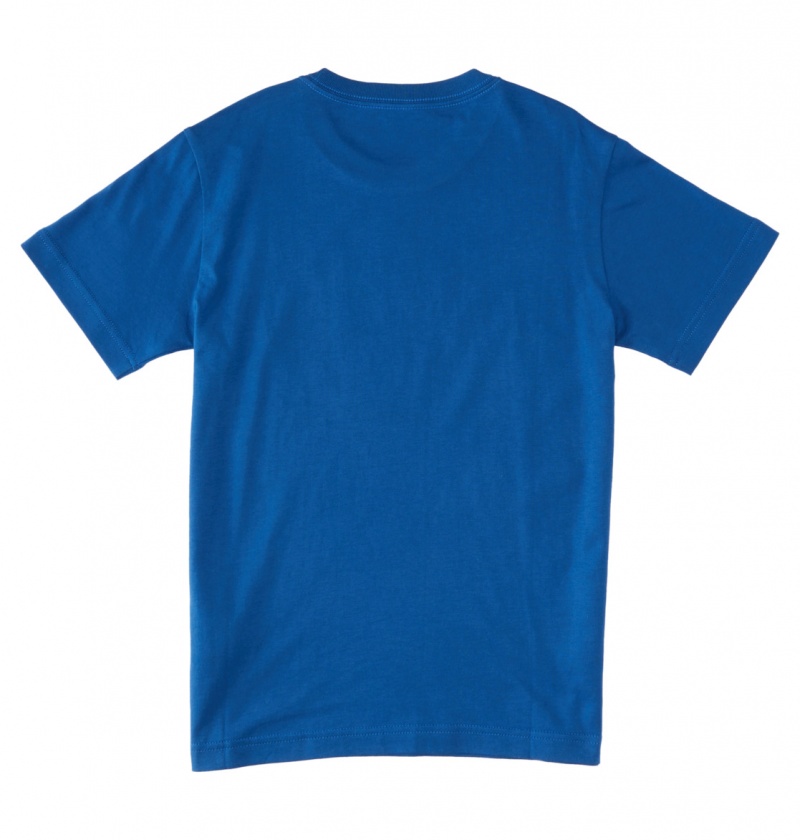 Nautical Blue DC Shoes Bookworm - T-Shirt 10-16 | CQPEAG-039