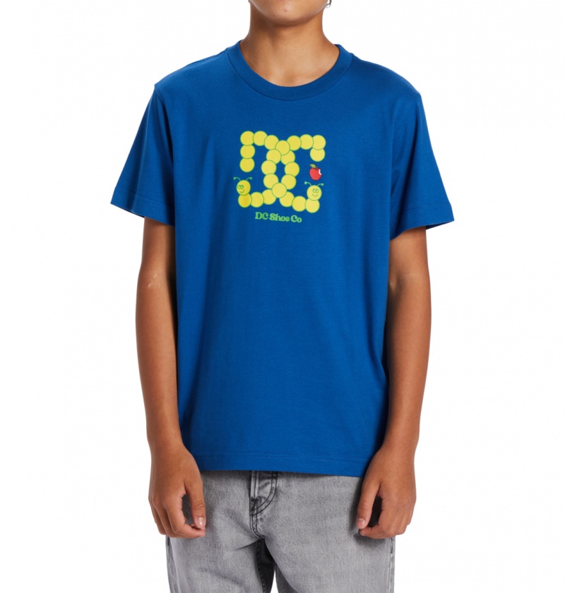 Nautical Blue DC Shoes Bookworm - T-Shirt 10-16 | CQPEAG-039