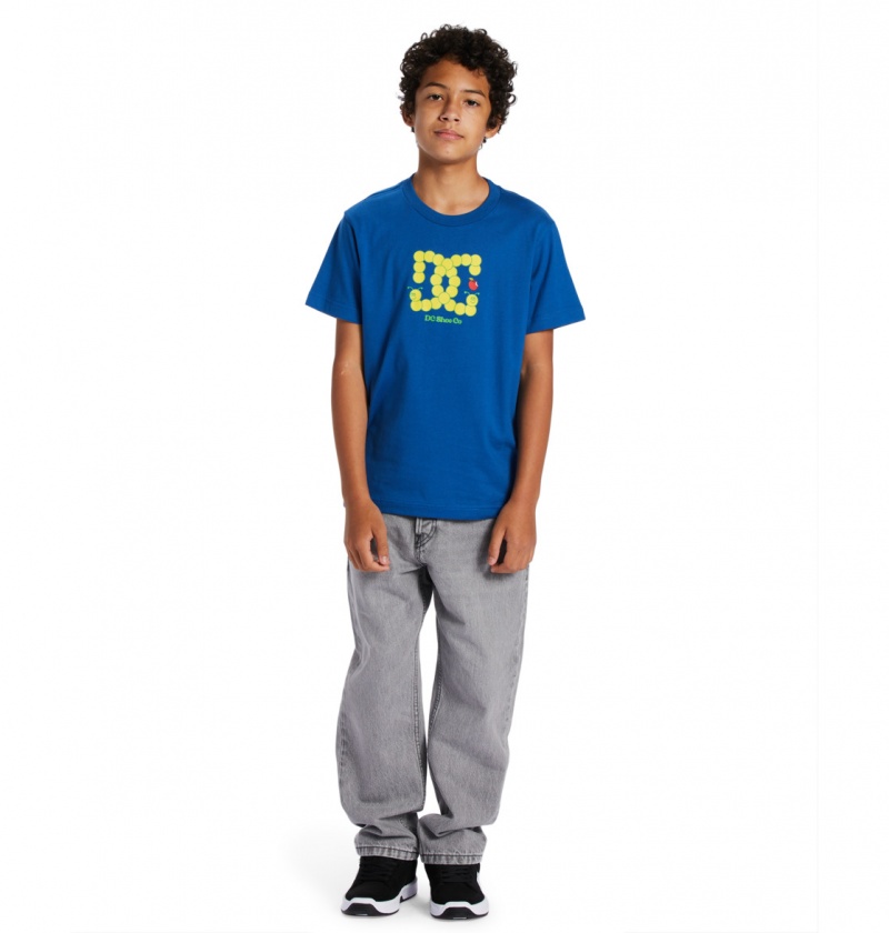 Nautical Blue DC Shoes Bookworm - T-Shirt 10-16 | CQPEAG-039