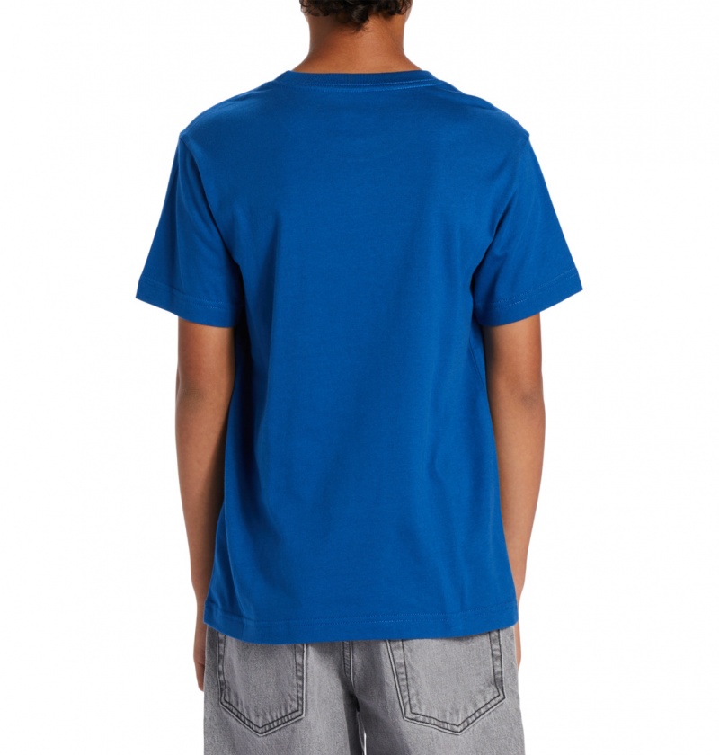 Nautical Blue DC Shoes Bookworm - T-Shirt 10-16 | CQPEAG-039