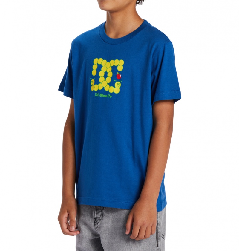 Nautical Blue DC Shoes Bookworm - T-Shirt 10-16 | CQPEAG-039