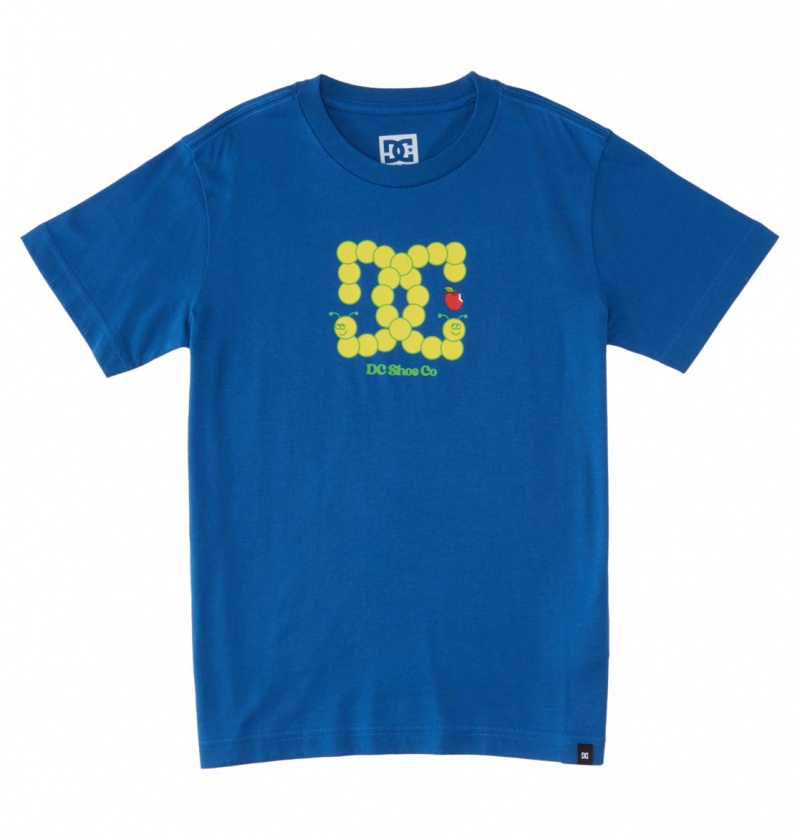 Nautical Blue DC Shoes Bookworm - T-Shirt 10-16 | CQPEAG-039