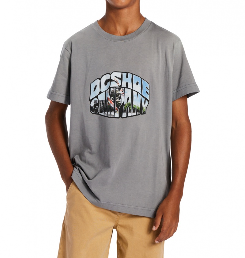 Pewter Potassium Spray DC Shoes Citywide - T-Shirt 10-16 | NVHGTO-325