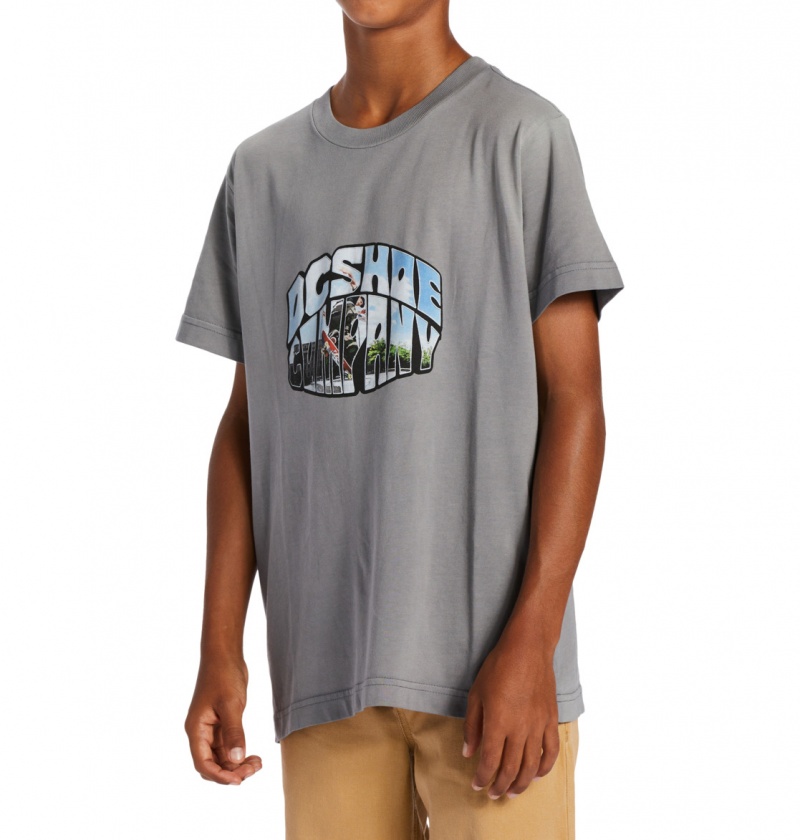 Pewter Potassium Spray DC Shoes Citywide - T-Shirt 10-16 | NVHGTO-325