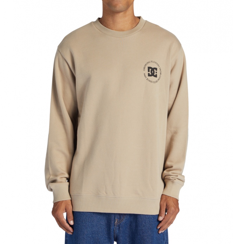 Plaza Taupe DC Shoes Concrete - Sweatshirt | QRZFDS-650