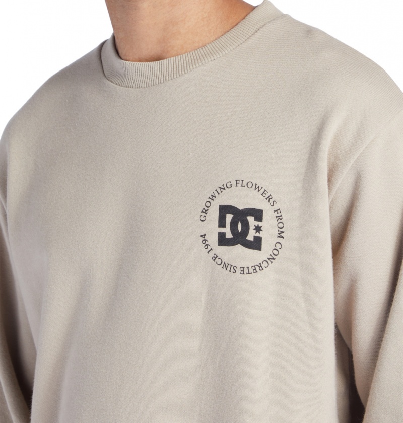 Plaza Taupe DC Shoes Concrete - Sweatshirt | QRZFDS-650