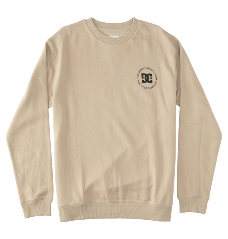 Plaza Taupe DC Shoes Concrete - Sweatshirt | QRZFDS-650