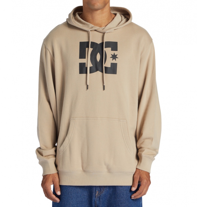 Plaza Taupe DC Shoes DC Star - Hoodie | KDHUMQ-860