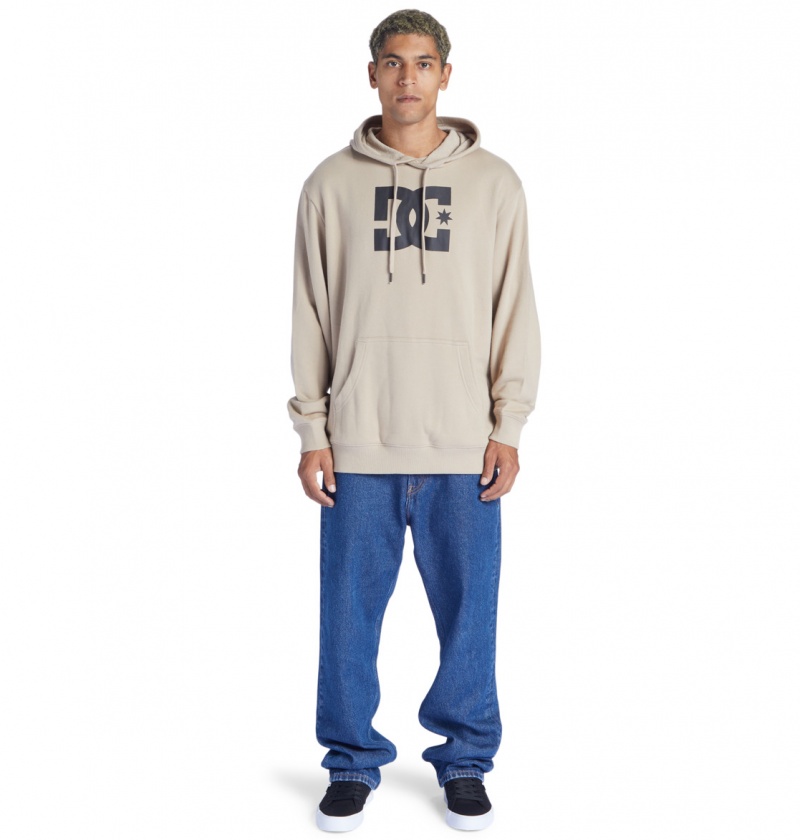 Plaza Taupe DC Shoes DC Star - Hoodie | KDHUMQ-860