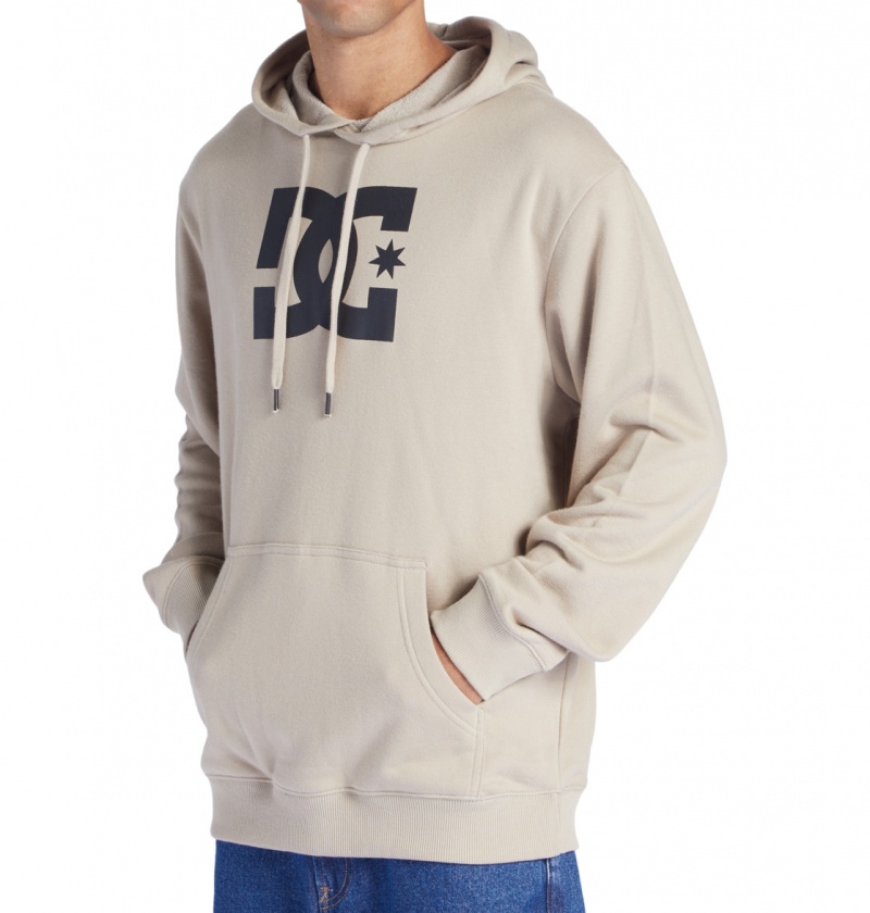 Plaza Taupe DC Shoes DC Star - Hoodie | KDHUMQ-860