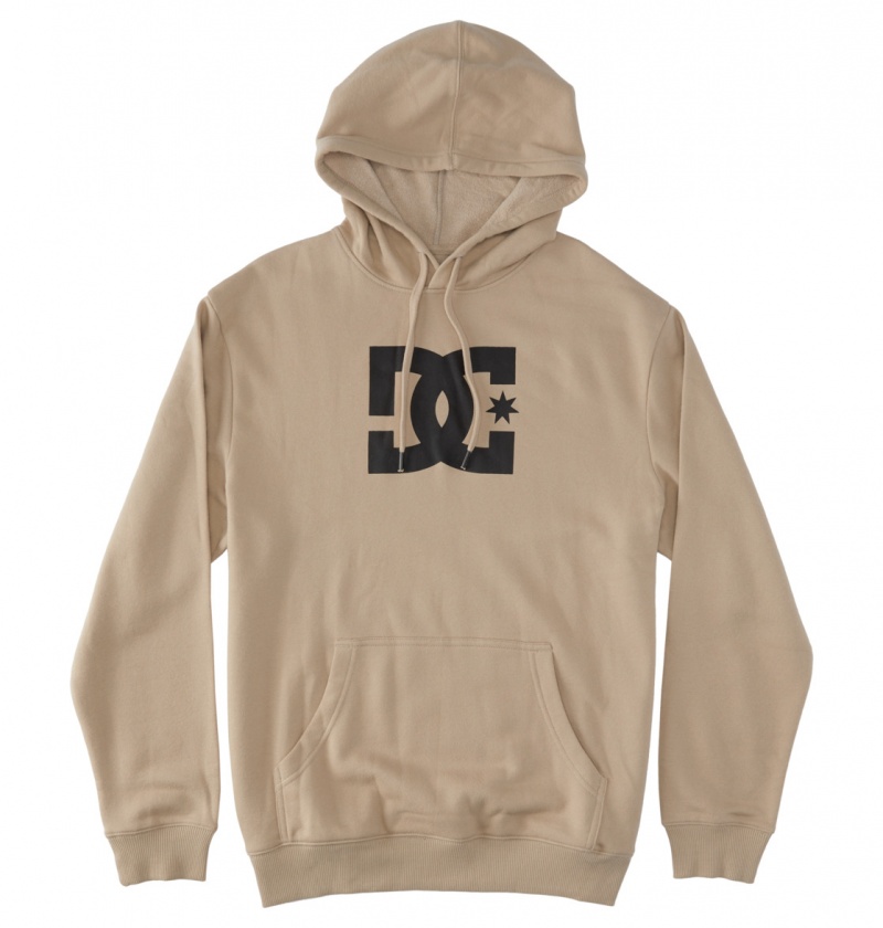 Plaza Taupe DC Shoes DC Star - Hoodie | KDHUMQ-860