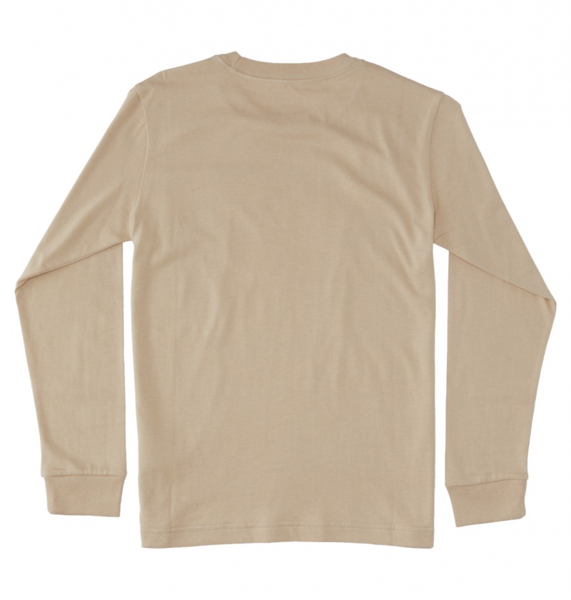 Plaza Taupe DC Shoes DC Star - Long Sleeve T-Shirt | LJXNBQ-987