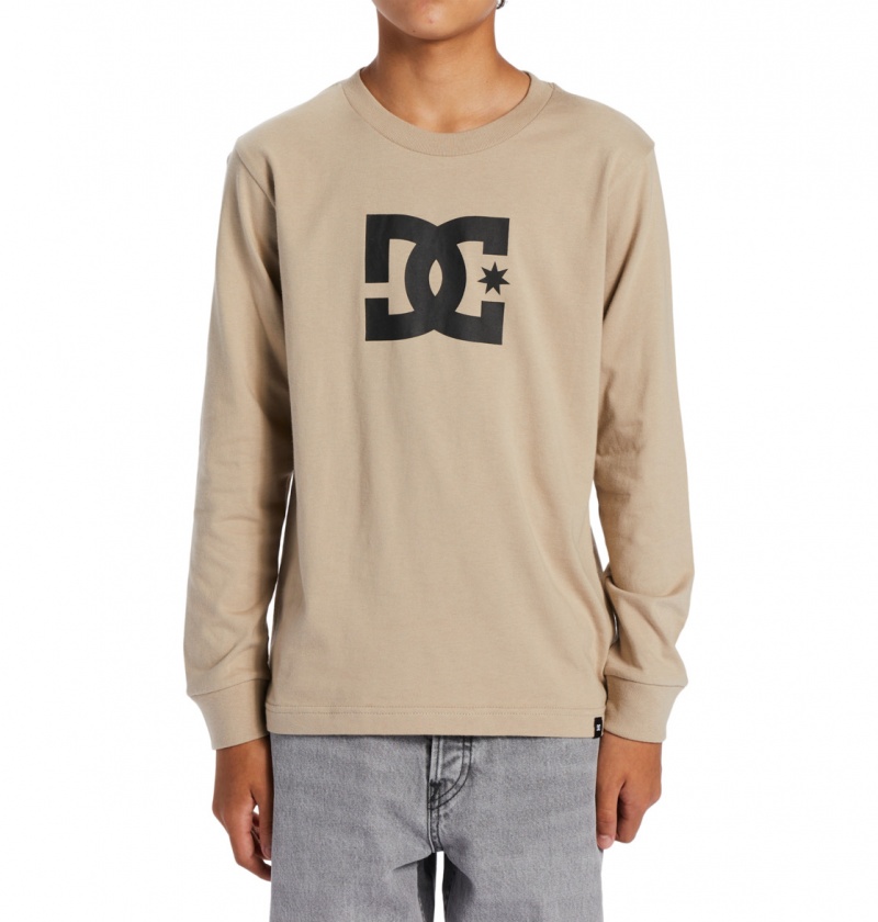 Plaza Taupe DC Shoes DC Star - Long Sleeve T-Shirt | LJXNBQ-987