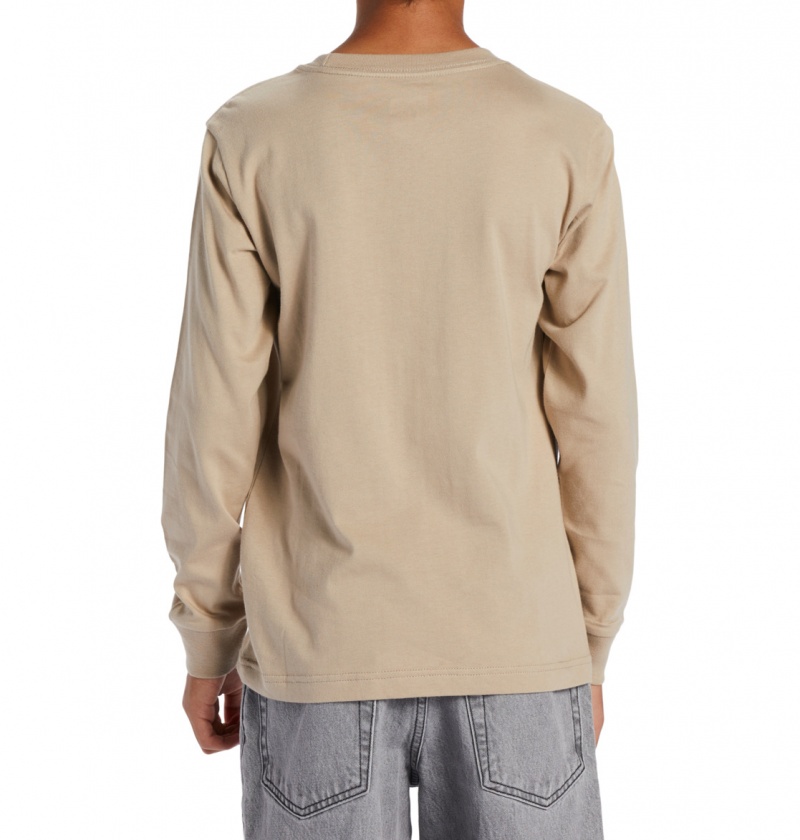 Plaza Taupe DC Shoes DC Star - Long Sleeve T-Shirt | LJXNBQ-987