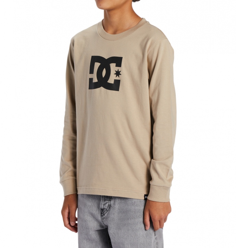 Plaza Taupe DC Shoes DC Star - Long Sleeve T-Shirt | LJXNBQ-987