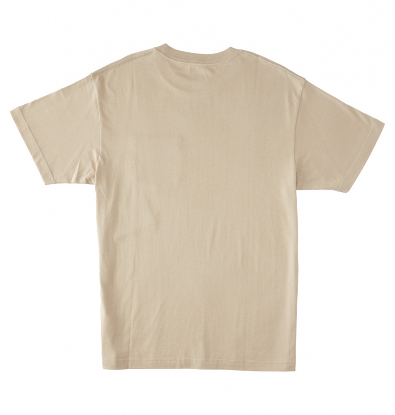 Plaza Taupe DC Shoes DC Star - T-Shirt | JRYOUT-409