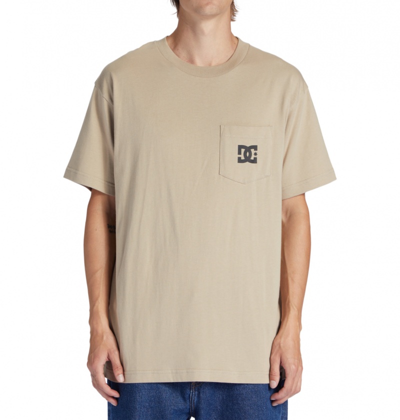 Plaza Taupe DC Shoes DC Star - T-Shirt | JRYOUT-409