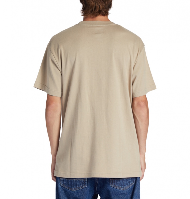 Plaza Taupe DC Shoes DC Star - T-Shirt | JRYOUT-409