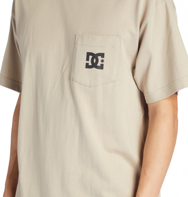 Plaza Taupe DC Shoes DC Star - T-Shirt | JRYOUT-409