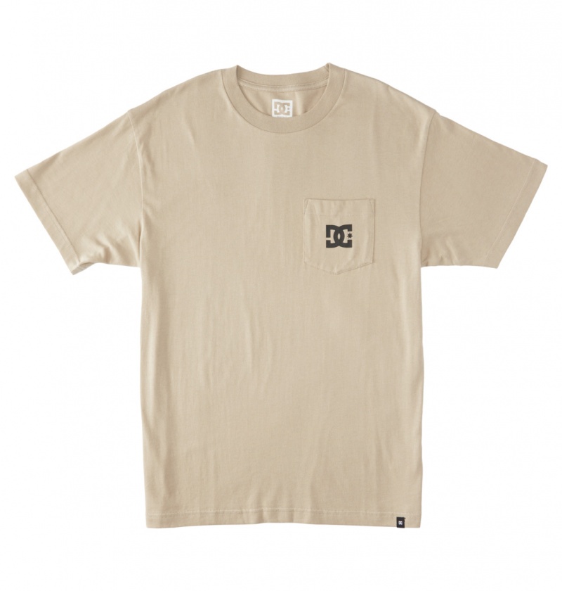 Plaza Taupe DC Shoes DC Star - T-Shirt | JRYOUT-409