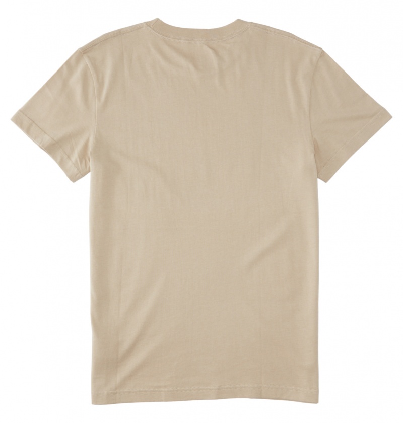 Plaza Taupe DC Shoes Outdoorsman - T-Shirt | JKHAPW-230