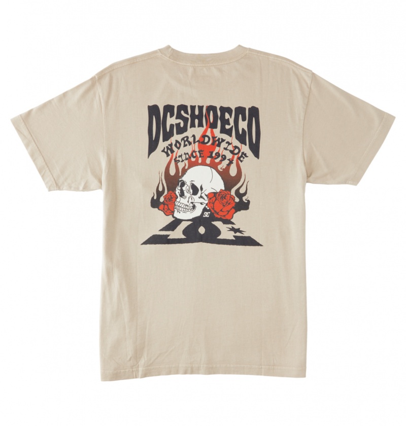 Plaza Taupe Enzyme Wash DC Shoes Defiant - T-Shirt | UCNLZO-093