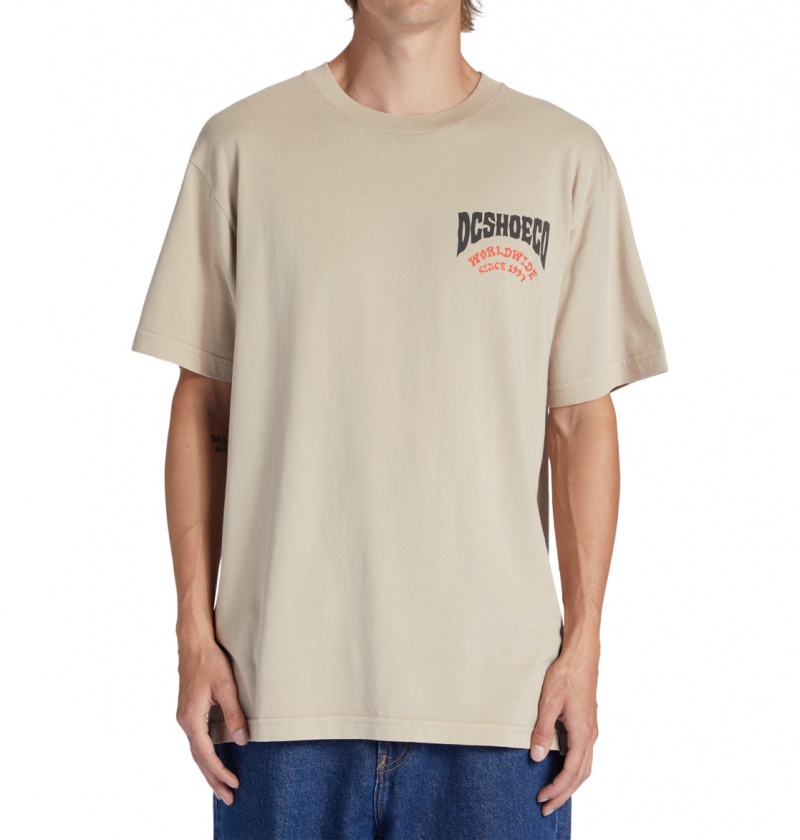 Plaza Taupe Enzyme Wash DC Shoes Defiant - T-Shirt | UCNLZO-093