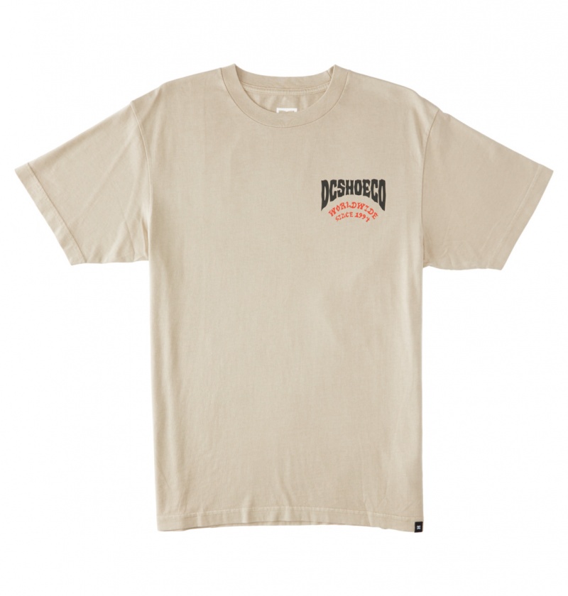 Plaza Taupe Enzyme Wash DC Shoes Defiant - T-Shirt | UCNLZO-093