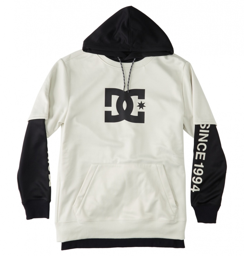 Silver Birch DC Shoes Dryden - Technical Hoodie | MLJQOR-346