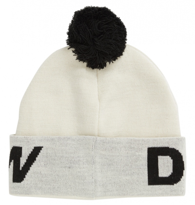 Silver Birch DC Shoes Gambol - Beanie | LFDIQM-025