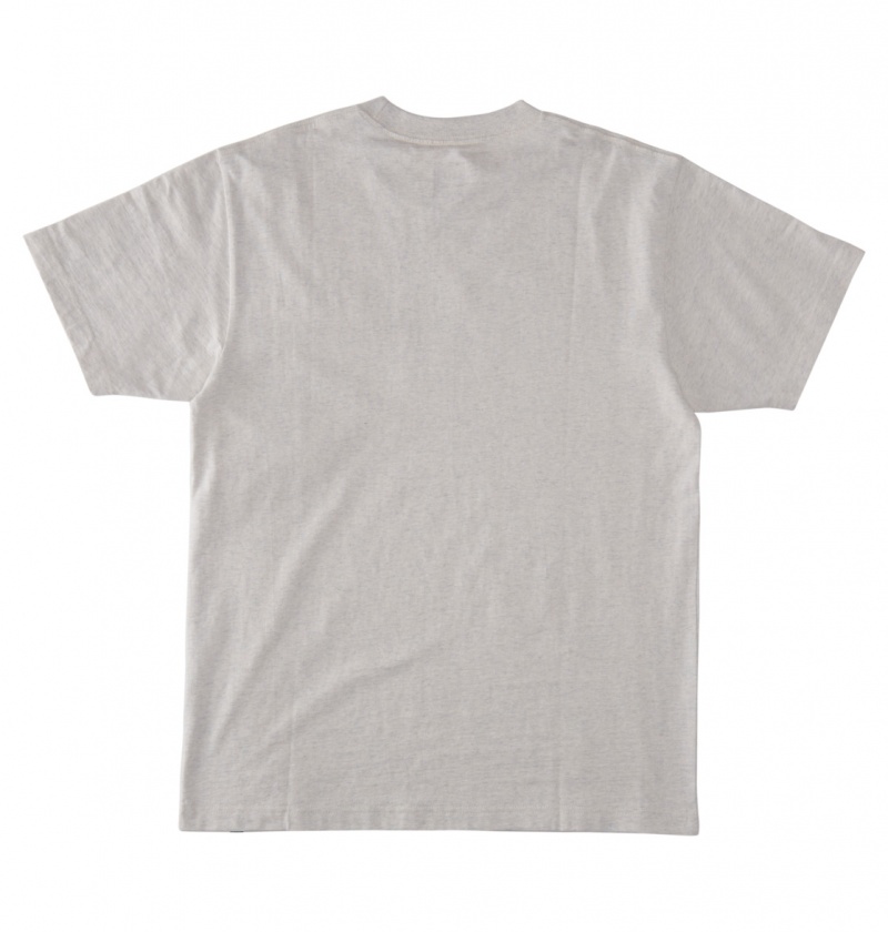 Snow Heather DC Shoes Chrome - T-Shirt | IDFXTB-756