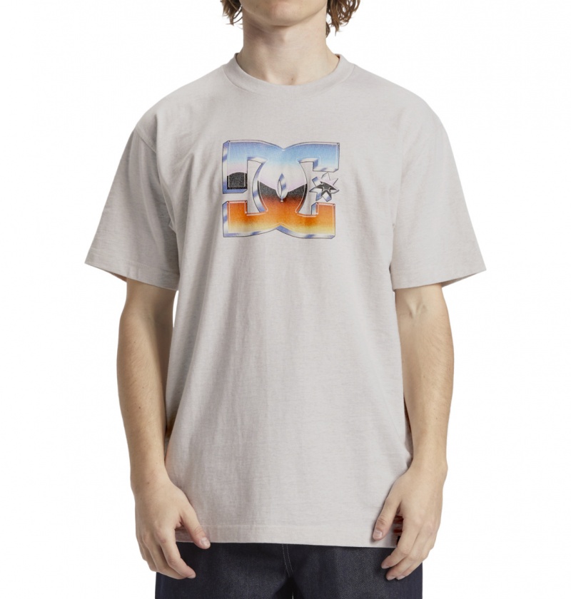 Snow Heather DC Shoes Chrome - T-Shirt | IDFXTB-756