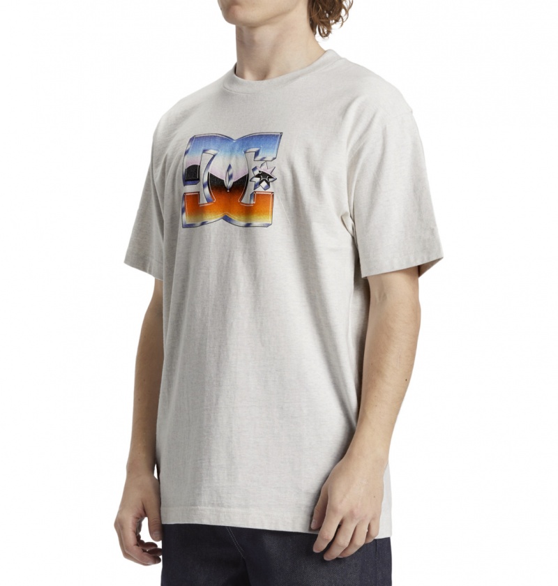 Snow Heather DC Shoes Chrome - T-Shirt | IDFXTB-756