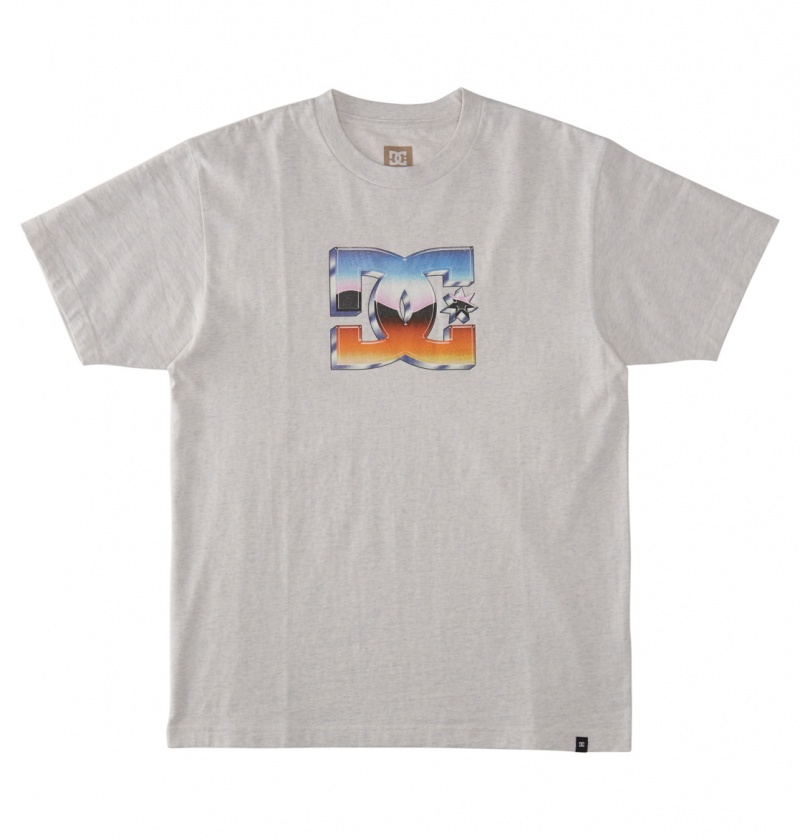 Snow Heather DC Shoes Chrome - T-Shirt | IDFXTB-756