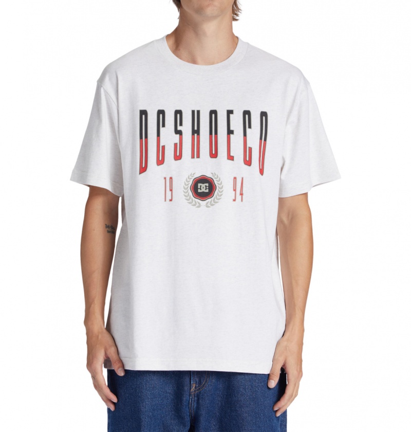 Snow Heather DC Shoes Dropout - T-Shirt | ZYGPVM-138