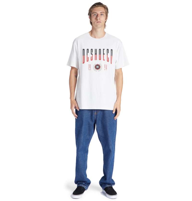 Snow Heather DC Shoes Dropout - T-Shirt | ZYGPVM-138