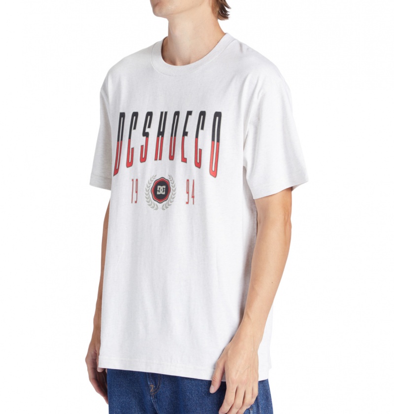 Snow Heather DC Shoes Dropout - T-Shirt | ZYGPVM-138