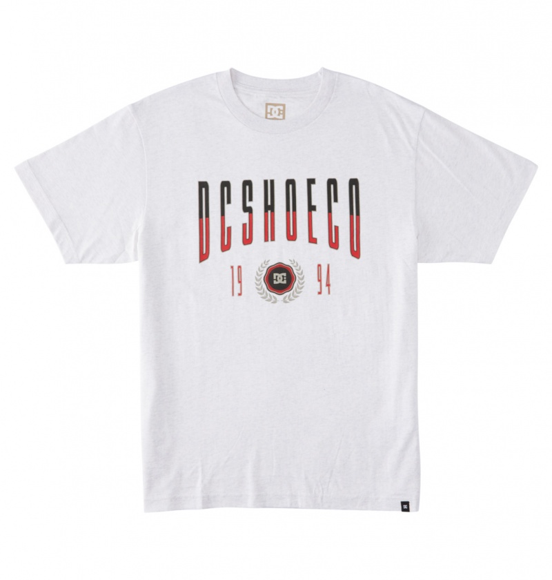 Snow Heather DC Shoes Dropout - T-Shirt | ZYGPVM-138