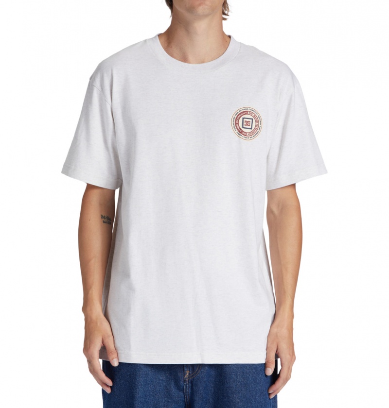 Snow Heather DC Shoes Old Head - T-Shirt | CLBJWR-836