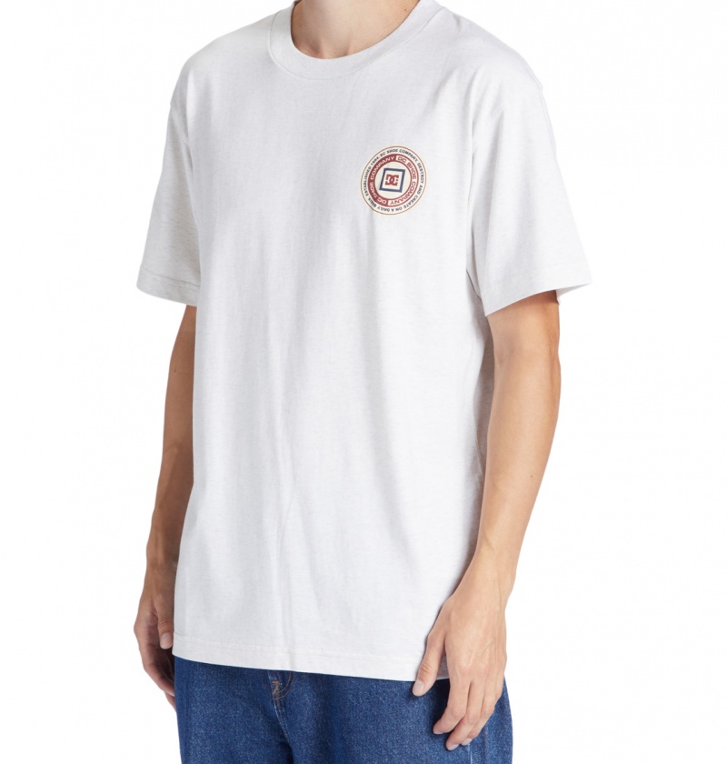 Snow Heather DC Shoes Old Head - T-Shirt | CLBJWR-836