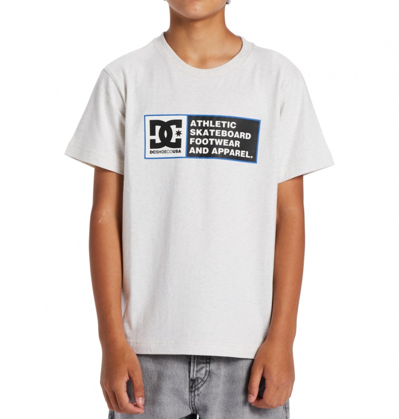 Snow Heather / Nautical Blue DC Shoes DC Density Zone - Short Sleeve T-Shirt 8-16 | IXREVG-468