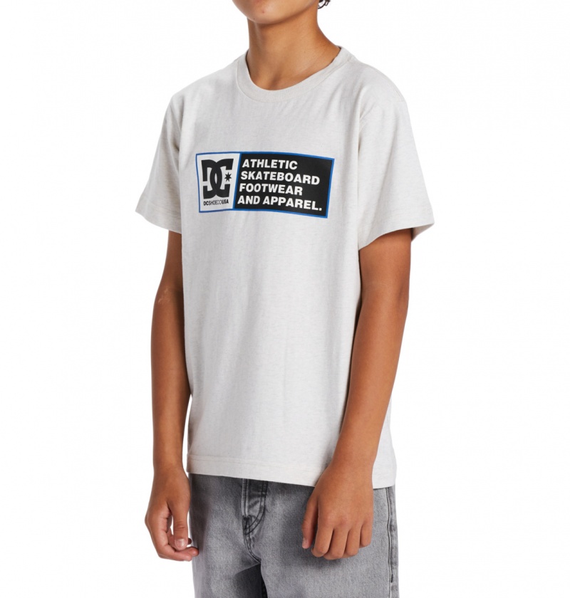 Snow Heather / Nautical Blue DC Shoes DC Density Zone - Short Sleeve T-Shirt 8-16 | IXREVG-468